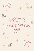 The Little Bloom Club mail (November) Christmas Edition